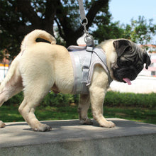 Load image into Gallery viewer, Reflecting Harness & Leash Set for Cats/Small Dogs
