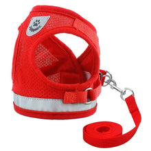 Load image into Gallery viewer, Reflecting Harness & Leash Set for Cats/Small Dogs