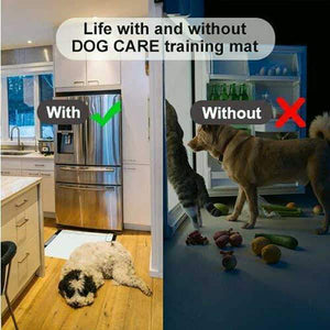 Pet Shock Mat Pet Training Mat for Dogs & Cats 3 Training Mode, Pet Barrier for Off-Limit Areas