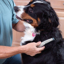 Load image into Gallery viewer, Electric Pet Grooming Comb