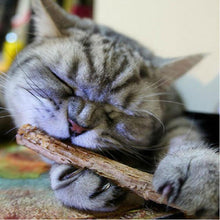 Load image into Gallery viewer, Matatabi Silver Vine Catnip Teeth-Cleaning Snack Sticks