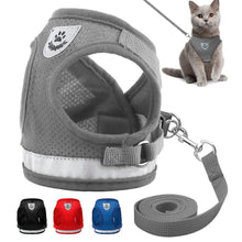 Load image into Gallery viewer, Reflecting Harness &amp; Leash Set for Cats/Small Dogs