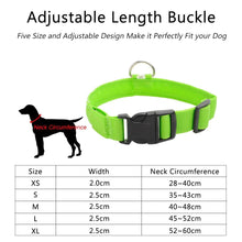 Load image into Gallery viewer, Night Watch LED Nylon Light Collar For Dogs