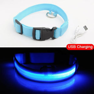 Night Watch LED Nylon Light Collar For Dogs