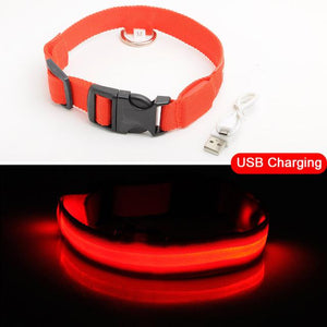 Night Watch LED Nylon Light Collar For Dogs