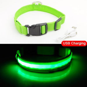 Night Watch LED Nylon Light Collar For Dogs