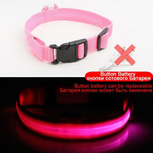 Load image into Gallery viewer, Night Watch LED Nylon Light Collar For Dogs