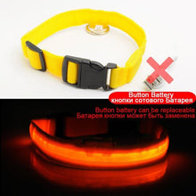 Load image into Gallery viewer, Night Watch LED Nylon Light Collar For Dogs