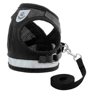 Reflecting Harness & Leash Set for Cats/Small Dogs