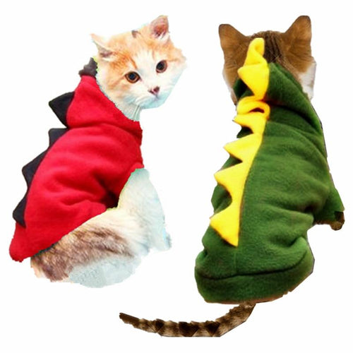 Summer Fun Cat Dinosaur Costume