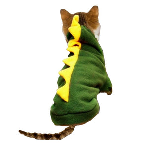 Summer Fun Cat Dinosaur Costume