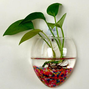 Wall Mounted Hydroponic Terrarium