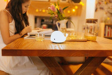 Load image into Gallery viewer, Cute Dolphin whale Silicone Colorful Night Light