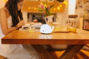 Cute Dolphin whale Silicone Colorful Night Light