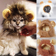 Load image into Gallery viewer, Cute Cat Lion Fur